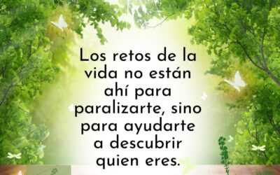 Di adiós a la ansiedad, mientras despides al 2025